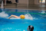 flipper_vs_pz_nuoto_28.jpg