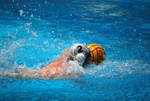 flipper_vs_pz_nuoto_33.jpg