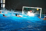 flipper_vs_pz_nuoto_34.jpg