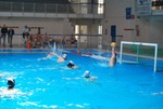 flipper_vs_pz_nuoto_36.jpg