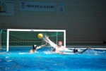 flipper_vs_pz_nuoto_37.jpg