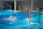 flipper_vs_pz_nuoto_41.jpg