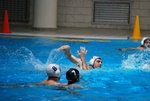 flipper_vs_pz_nuoto_43.jpg