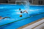 flipper_vs_rende_03.jpg