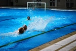 flipper_vs_rende_04.jpg