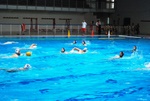 flipper_vs_rende_05.jpg