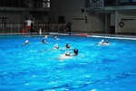 flipper_vs_rende_06.jpg
