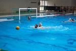 flipper_vs_rende_07.jpg
