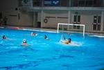 flipper_vs_rende_10.jpg