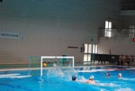 flipper_vs_rende_13.jpg