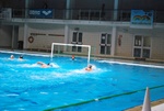 flipper_vs_rende_14.jpg