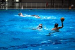 flipper_vs_rende_17.jpg