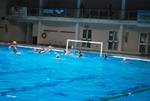 flipper_vs_rende_18.jpg