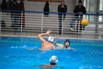 flipper_vs_rende_21.jpg