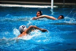 flipper_vs_rende_22.jpg