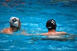 flipper_vs_rende_27.jpg