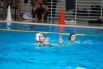 flipper_vs_rende_28.jpg