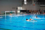 flipper_vs_rende_30.jpg