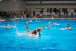 flipper_vs_rende_32.jpg