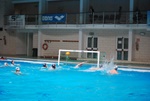flipper_vs_rende_35.jpg