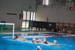flipper_vs_rende_37.jpg