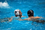 flipper_vs_rende_39.jpg