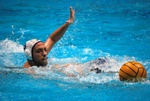 flipper_vs_rende_40.jpg