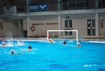 flipper_vs_rende_43.jpg