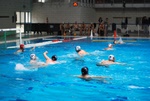 flipper_vs_rende_44.jpg