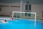 flipper_vs_rende_45.jpg