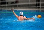 flipper_vs_rende_46.jpg