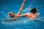 flipper_vs_rende_47.jpg