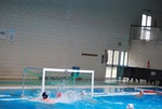 flipper_vs_rende_48.jpg