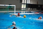 flipper_vs_rende_51.jpg