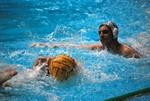 flipper_vs_rende_53.jpg