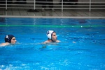 flipper_vs_rende_56.jpg
