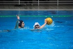 flipper_vs_rende_57.jpg