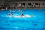 flipper_vs_rende_58.jpg