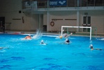 flipper_vs_rende_60.jpg