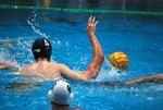 flipper_vs_rende_61.jpg