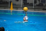 flipper_vs_rende_62.jpg