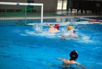 flipper_vs_rende_63.jpg