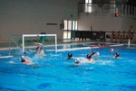 flipper_vs_rende_67.jpg