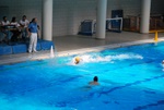 flipper_vs_modugno_10.jpg