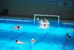 flipper_vs_modugno_11.jpg