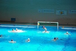 flipper_vs_modugno_14.jpg