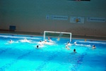 flipper_vs_modugno_16.jpg
