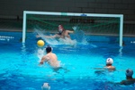 flipper_vs_modugno_17.jpg