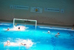flipper_vs_modugno_18.jpg