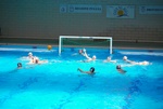 flipper_vs_modugno_20.jpg